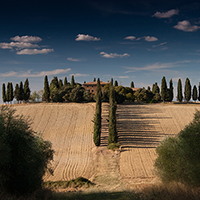小七电话在线网页轰炸